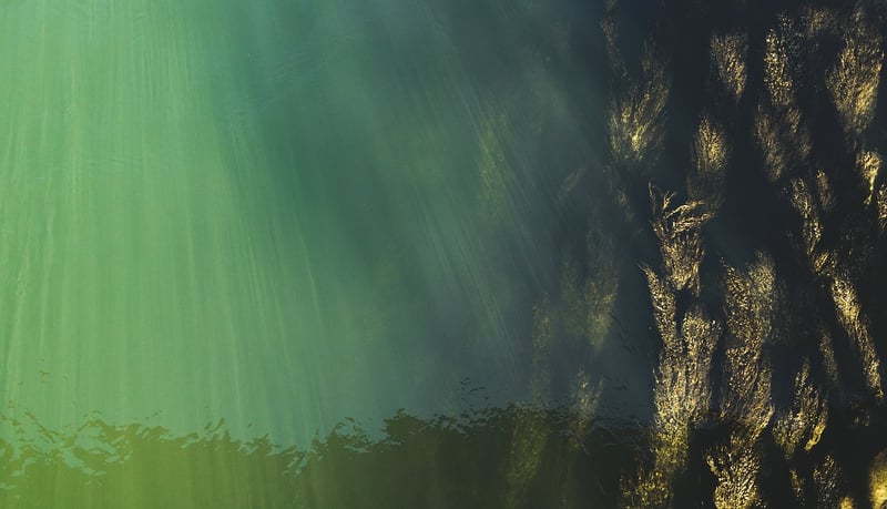 Deep-Sea Exploration